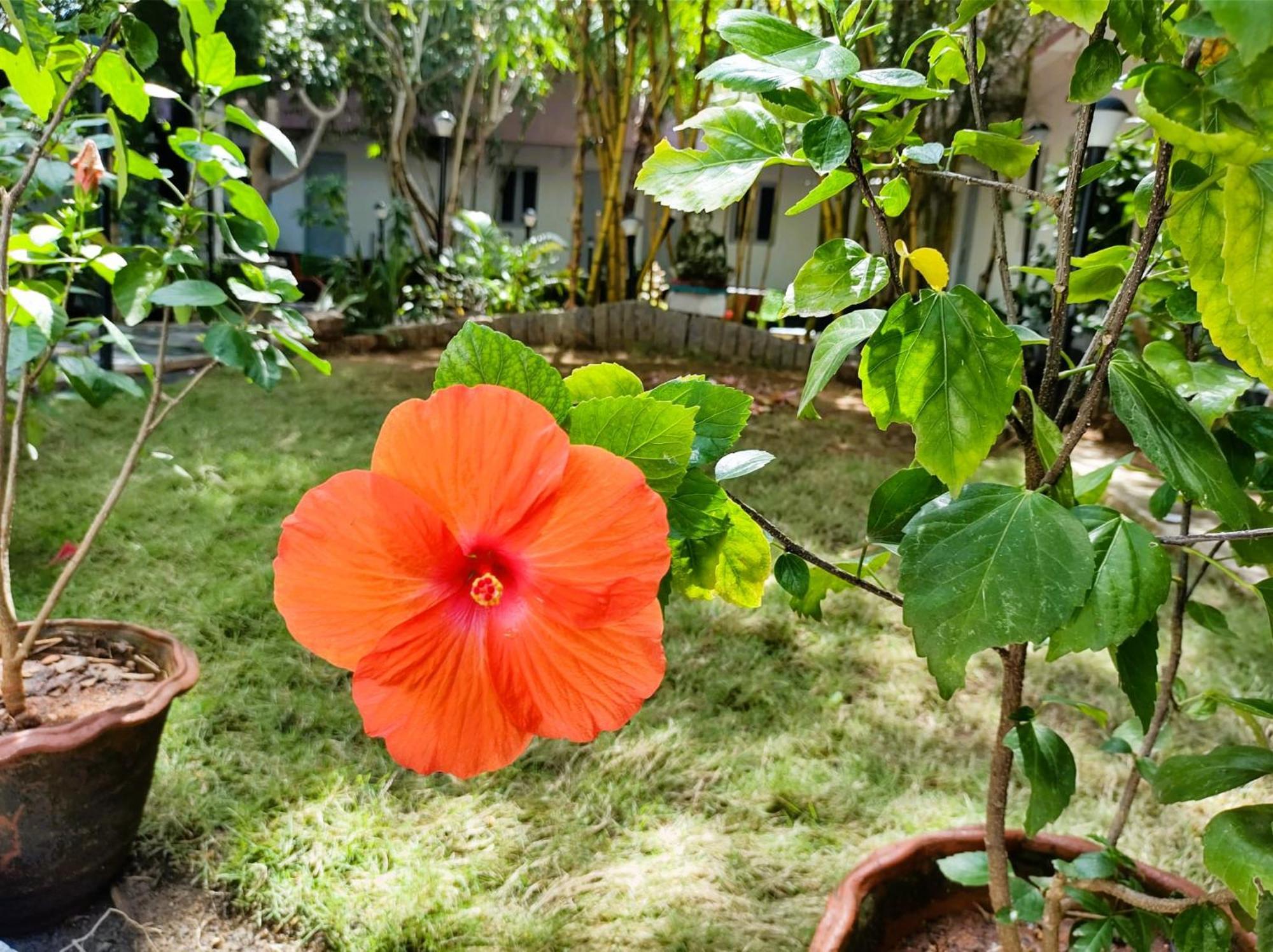 The Well Beach Side Guest House Auroville Extérieur photo