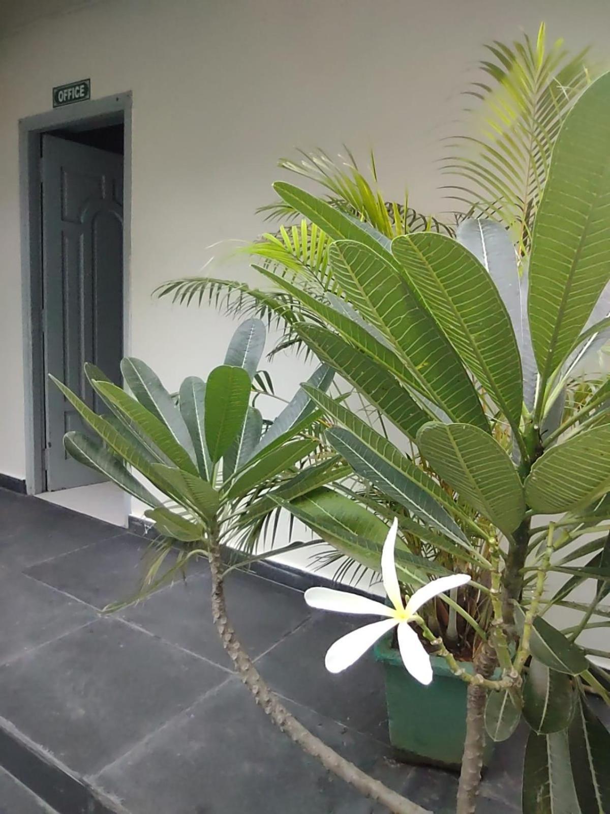 The Well Beach Side Guest House Auroville Extérieur photo